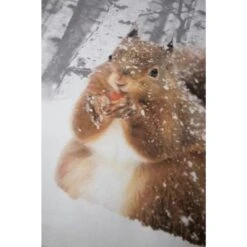 Papillon Milou Dekbedovertrek - 240x200/220 Cm - Multikleur -Woninginrichting 1195861761 0102