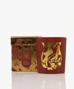 Trudon Terre À Terre Geurkaars - 270Gr -Woninginrichting 32be849f 4faf 462c 926a ebb05403e76c 02